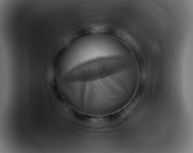 X0000100480367200806131235