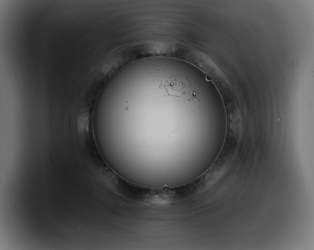 X0000100480368200806131235