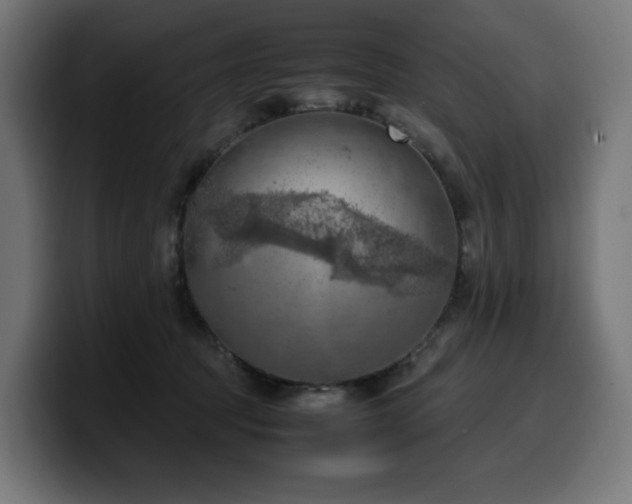 X0000100480369200806131235
