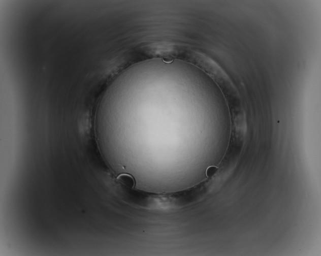 X0000100480372200806131235