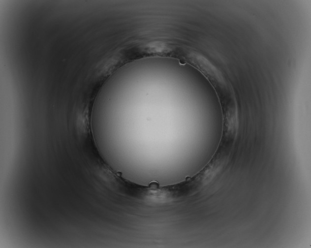 X0000100480376200806131235