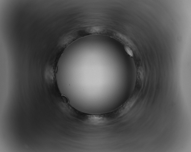X0000100480380200806131235