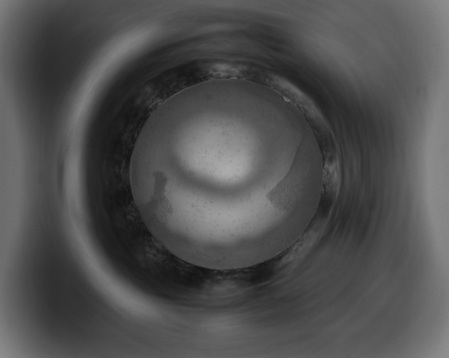 X0000100480381200806131235
