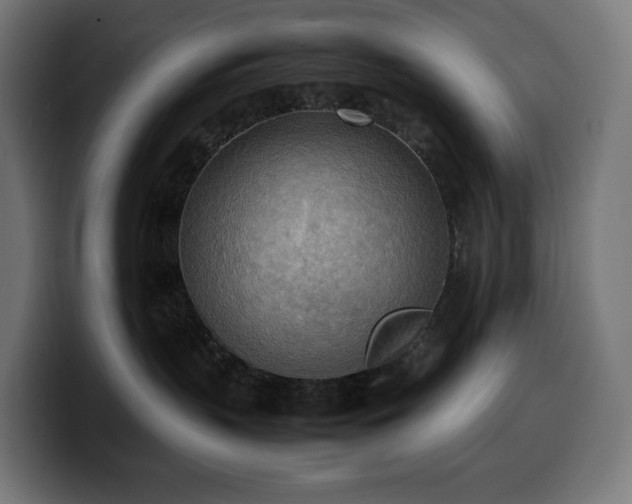 X0000100480383200806131235