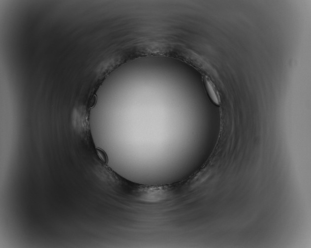 X0000100480384200806131235