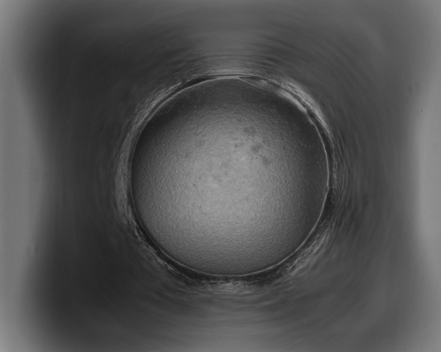 X0000100480385200806131234