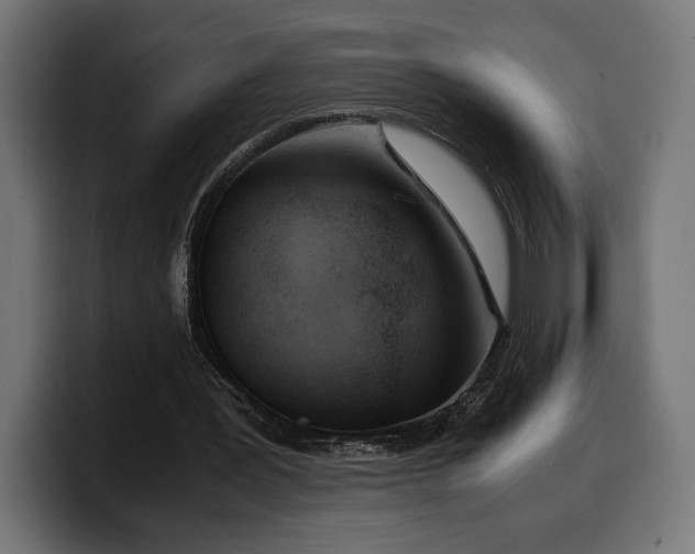 X0000100480387200806131234