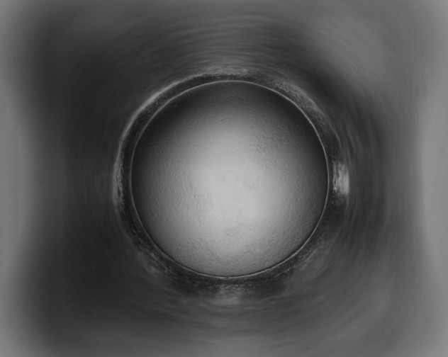 X0000100480388200806131234