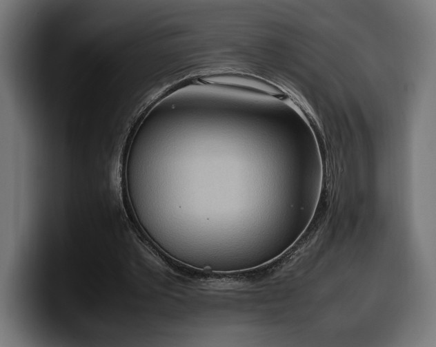X0000100480389200806131234