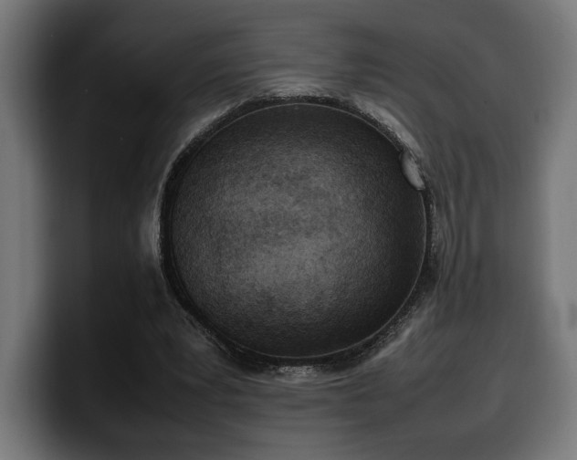 X0000100480391200806131234