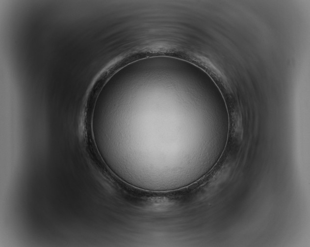 X0000100480392200806131234