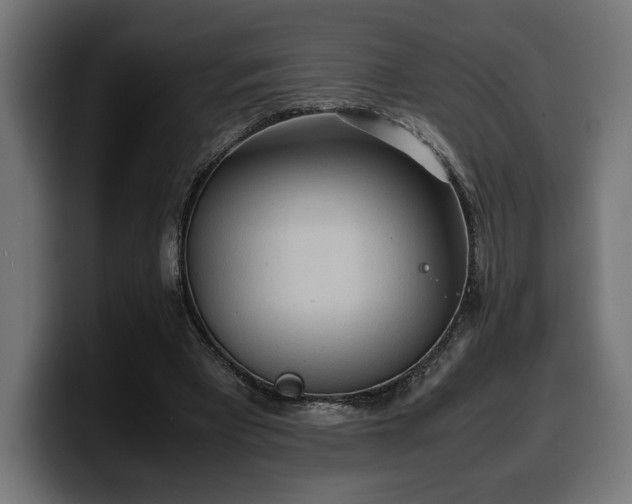 X0000100480393200806131234