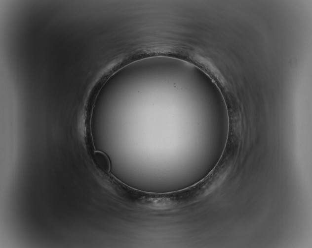 X0000100480395200806131234