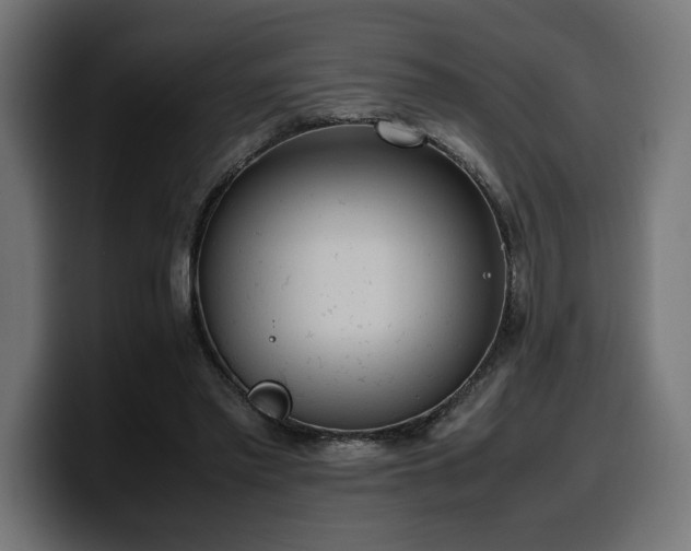 X0000100480397200806131234