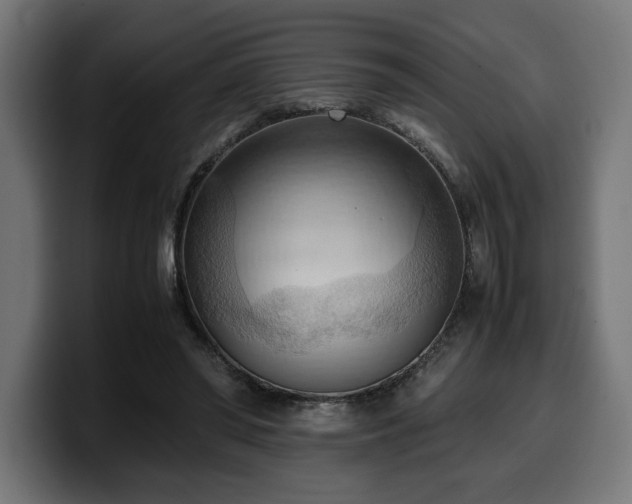 X0000100480398200806131234