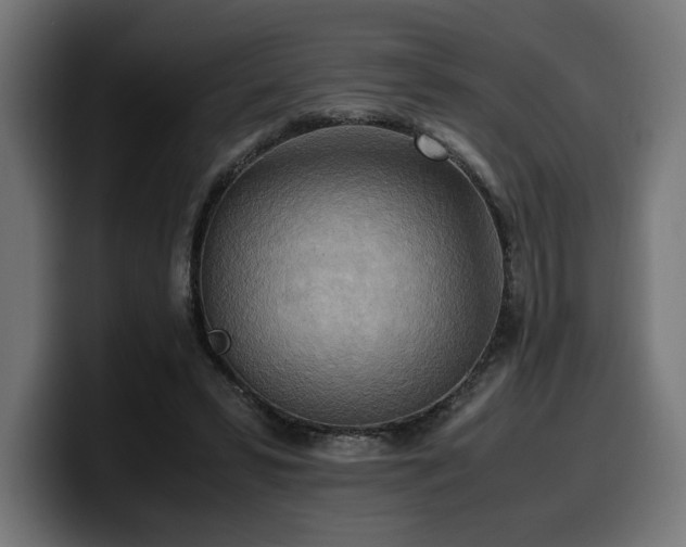 X0000100480399200806131234