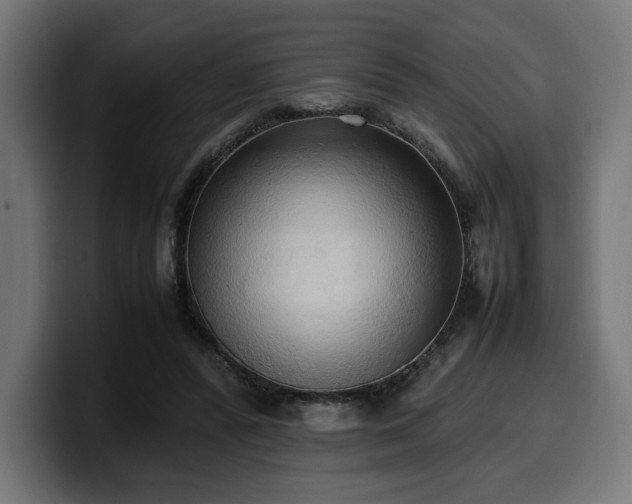 X0000100480400200806131234