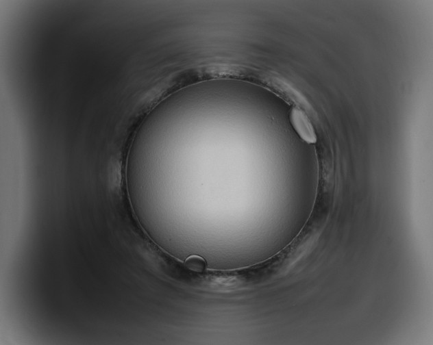 X0000100480401200806131234