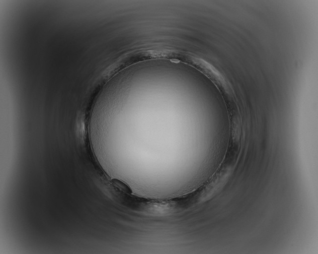 X0000100480405200806131234