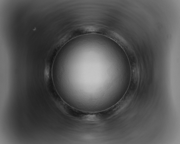 X0000100480406200806131234