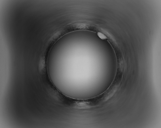 X0000100480407200806131234