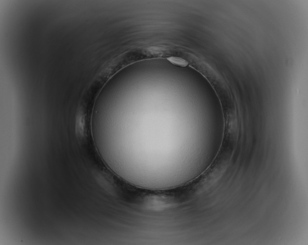 X0000100480408200806131234