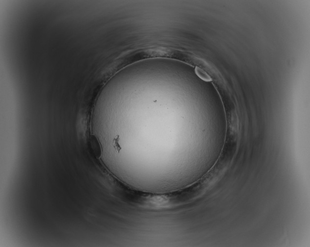 X0000100480409200806131234