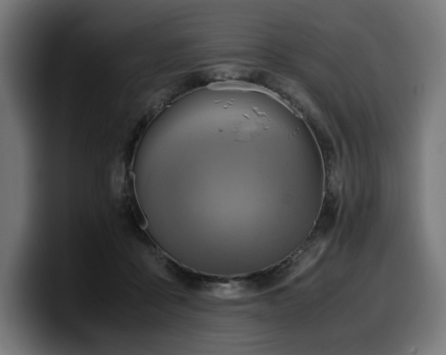 X0000100480411200806131234