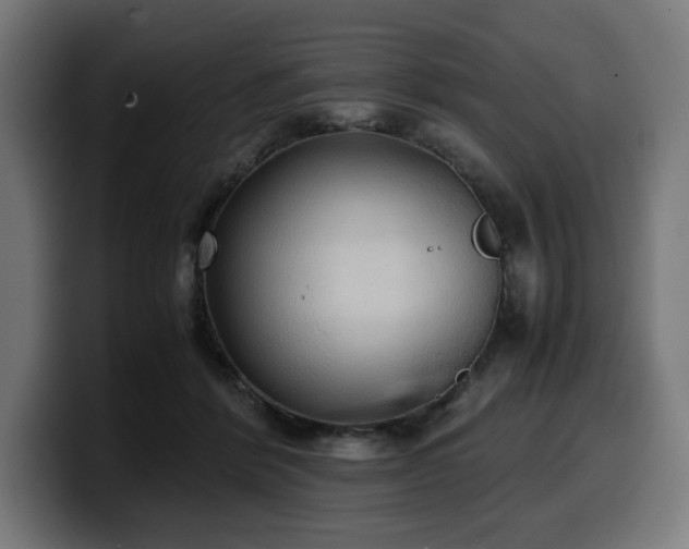 X0000100480412200806131234
