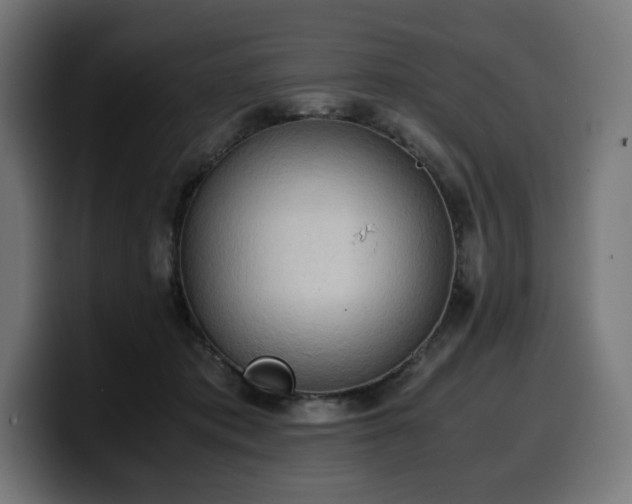 X0000100480413200806131234