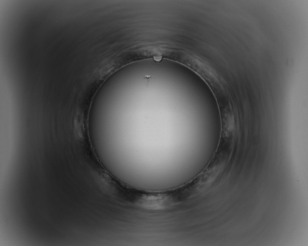 X0000100480414200806131234