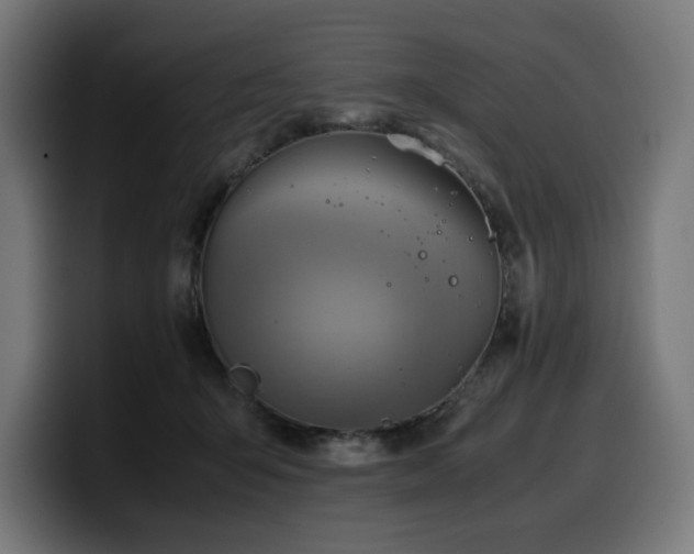 X0000100480415200806131234