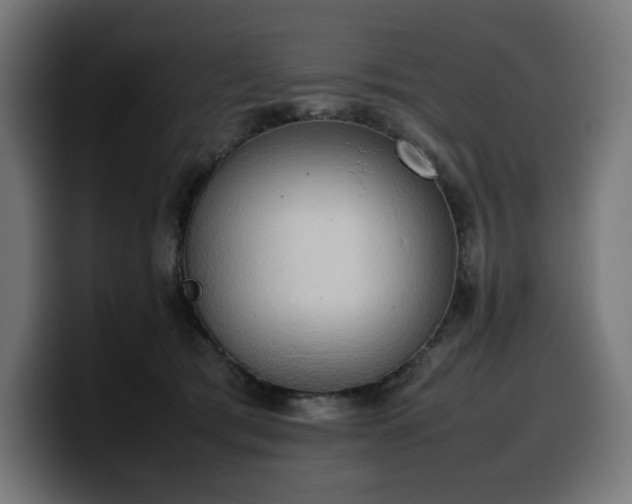 X0000100480417200806131234