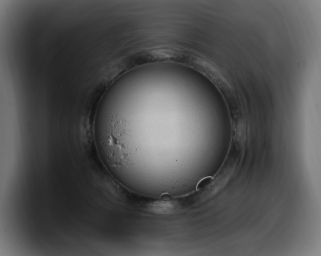 X0000100480418200806131234