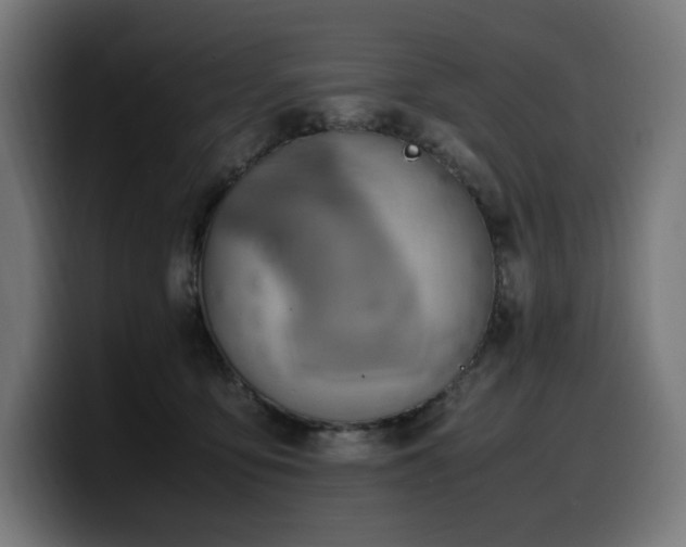 X0000100480419200806131234