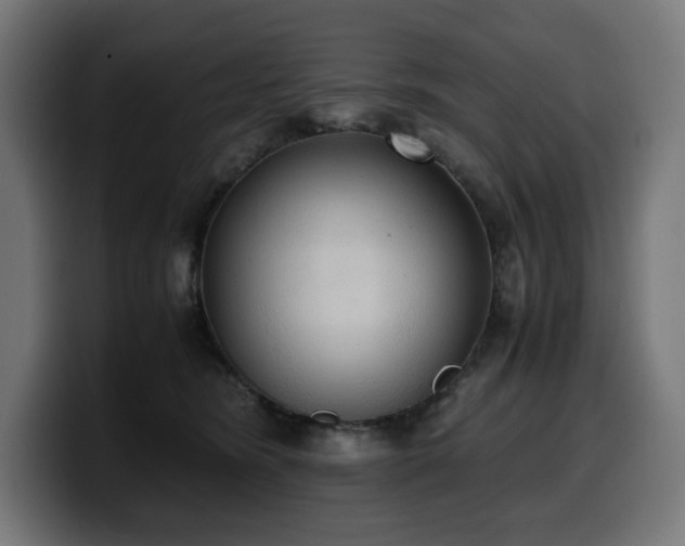 X0000100480420200806131234