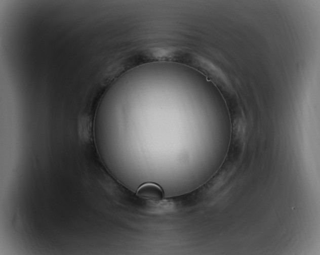 X0000100480421200806131234