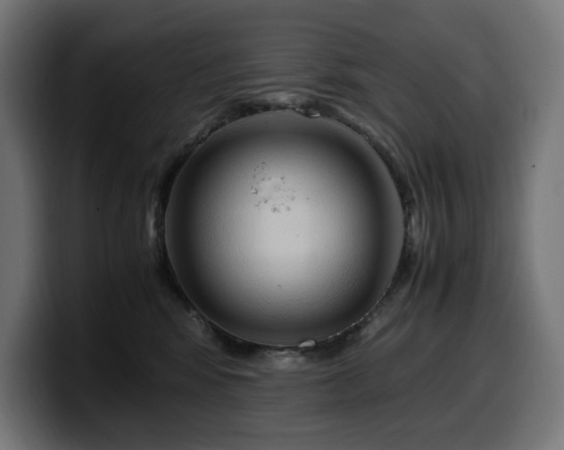X0000100480424200806131234