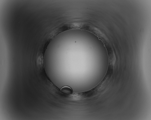 X0000100480425200806131234