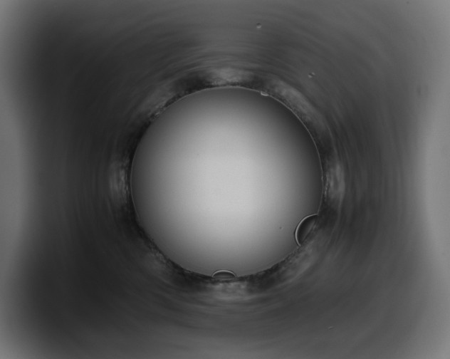 X0000100480426200806131234