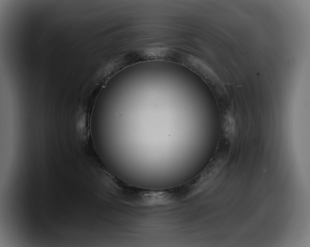 X0000100480428200806131234