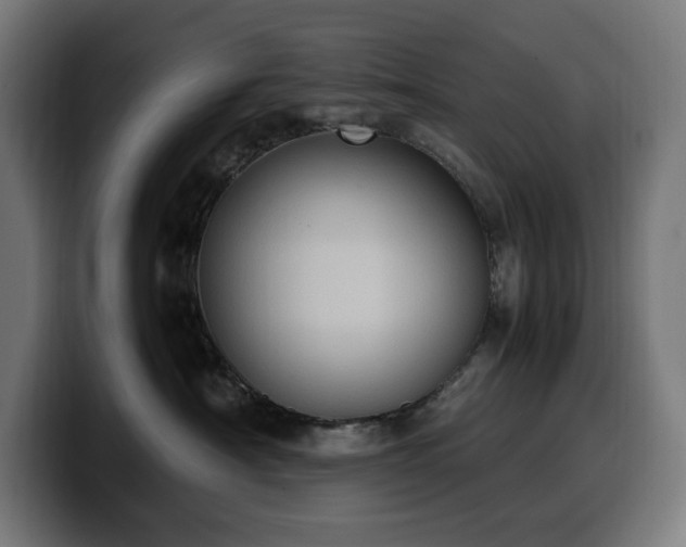 X0000100480430200806131234