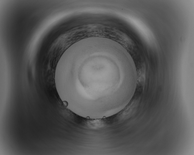 X0000100480431200806131234