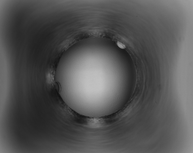 X0000100480432200806131234