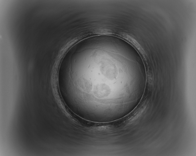 X0000100480433200806131233