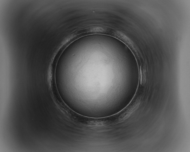 X0000100480435200806131233