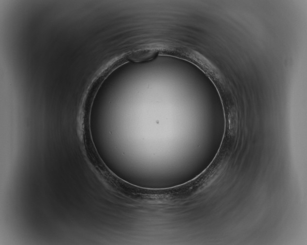 X0000100480436200806131233