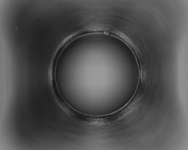 X0000100480438200806131233