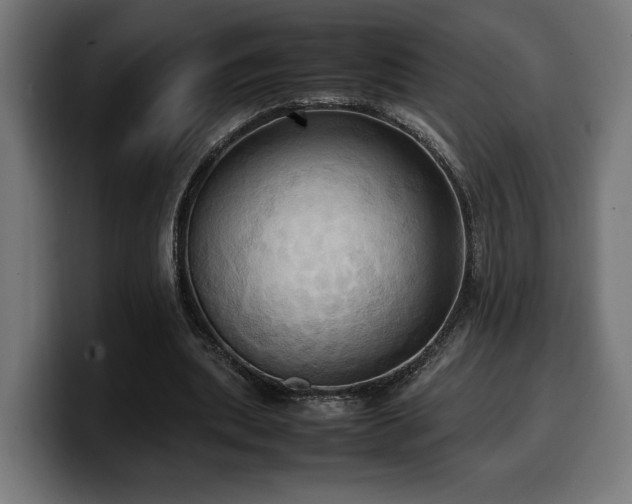 X0000100480439200806131233