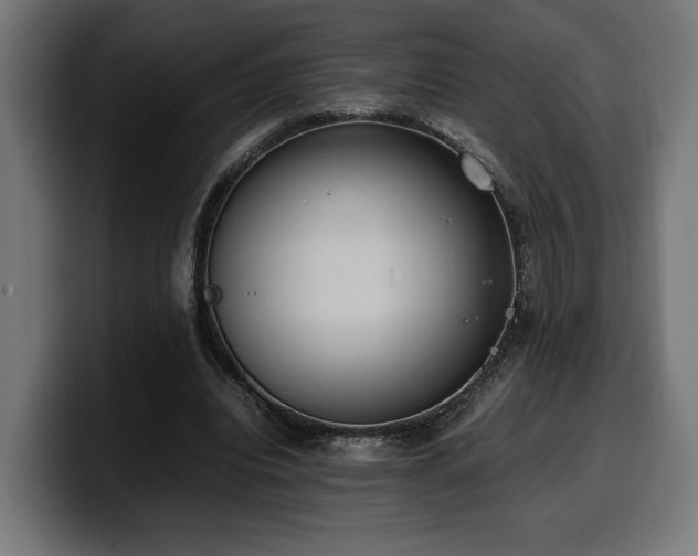 X0000100480440200806131233